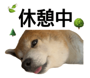 840760911