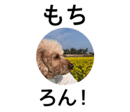 840760914