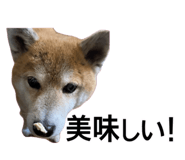 840760922