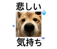 840760926