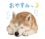 840761135