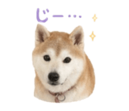 840761136