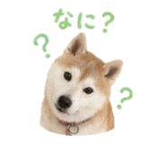 840761137