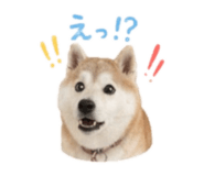 840761140