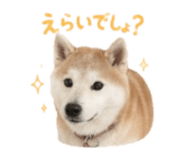 840761141