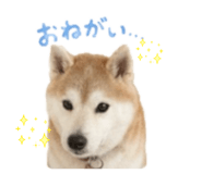 840761142