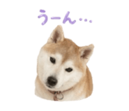 840761143