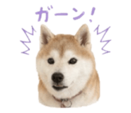 840761147