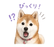 840761161