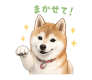 840761162