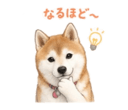 840761163