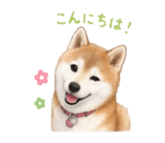 840761167