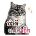 840762657