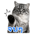 840762660