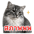 840762665