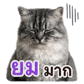 840762667