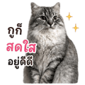 840762669