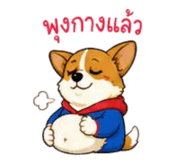 840764407