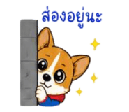 840764422