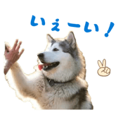 840765337