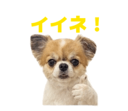840765566