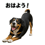 840765809