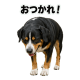 840765812