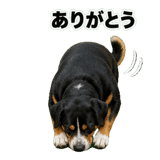 840765813
