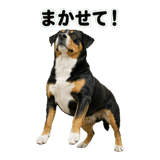 840765842