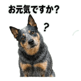 840766046
