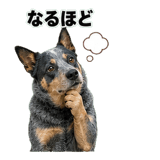 840766056
