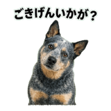 840766079