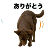 840766293