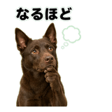 840766304