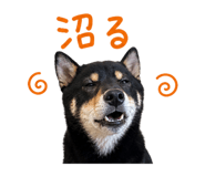 840766595