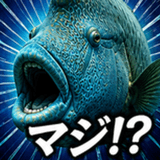 840767511