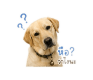 840767611