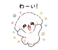 840768717