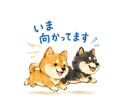 840769388