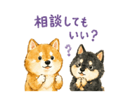 840769406