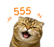 840769562