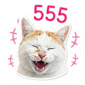 840769962