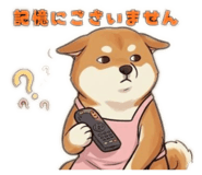 840771052