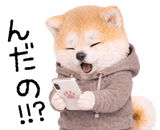 840771492