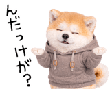 840771494