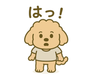 840772339