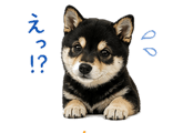 840772565