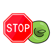 840775522