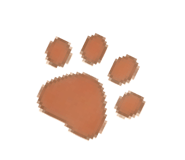 840775567