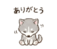 840775602